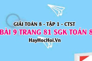 Giải bài 9 trang 81 Toán 8 Tập 1 SGK Chân trời sáng tạo